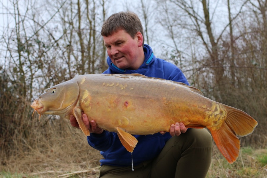 Yorkie from Alcatraz at 28lb in Feb 2017