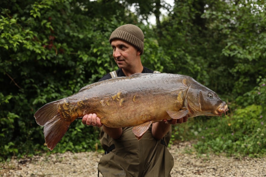 Chris Irvin - Co's - 30lb 11oz - 17/10/2024