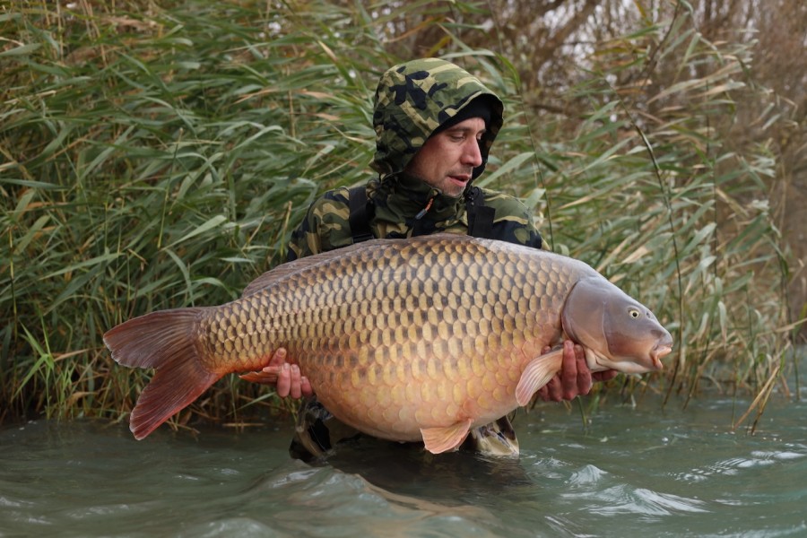 Tim Janssens, 66lb, The Stink, 15/11/2025