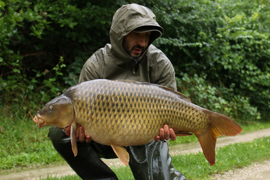 Daniele Bedini - 31lb - Alcatraz - 10/07/2021