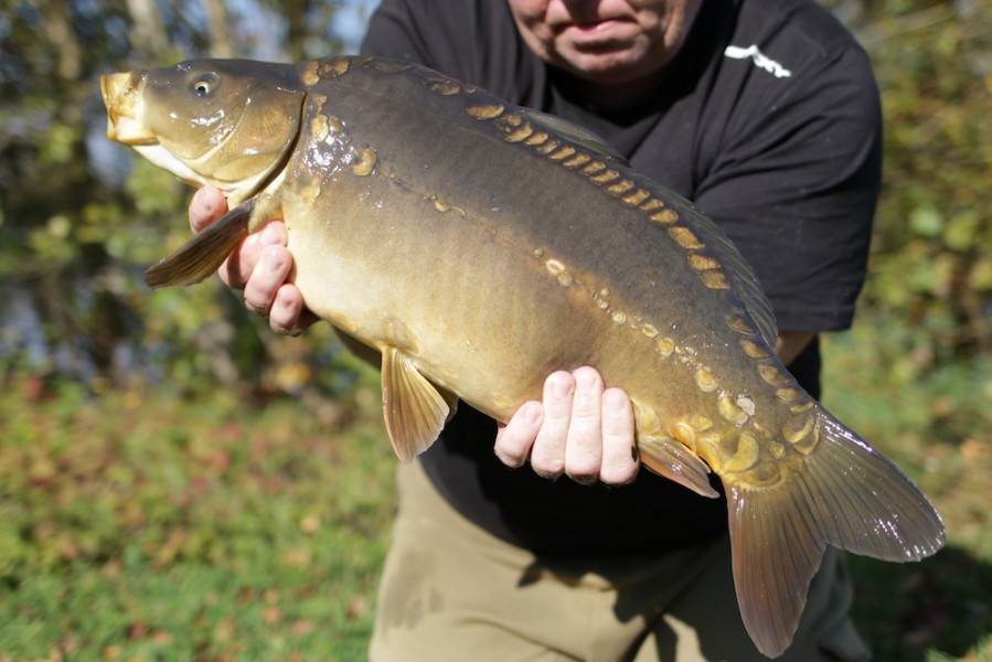 Fish 16 - 10lb 8oz - October 2017