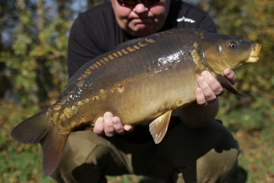 Fish 16 - 10lb 8oz - October 2017