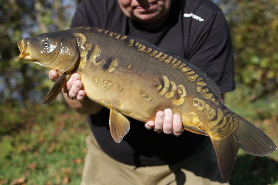 Fish 21 - 9lb 8oz - October 2017