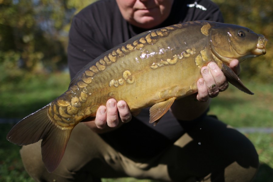 Fish 26 - Penny - 7lb - October 2017