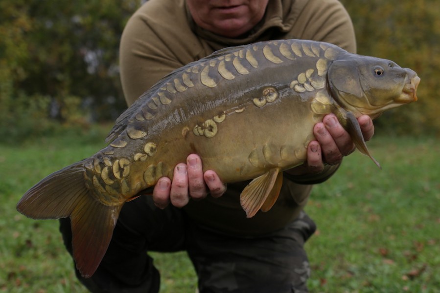 Fish 32 - 9lb 4oz - October 2017