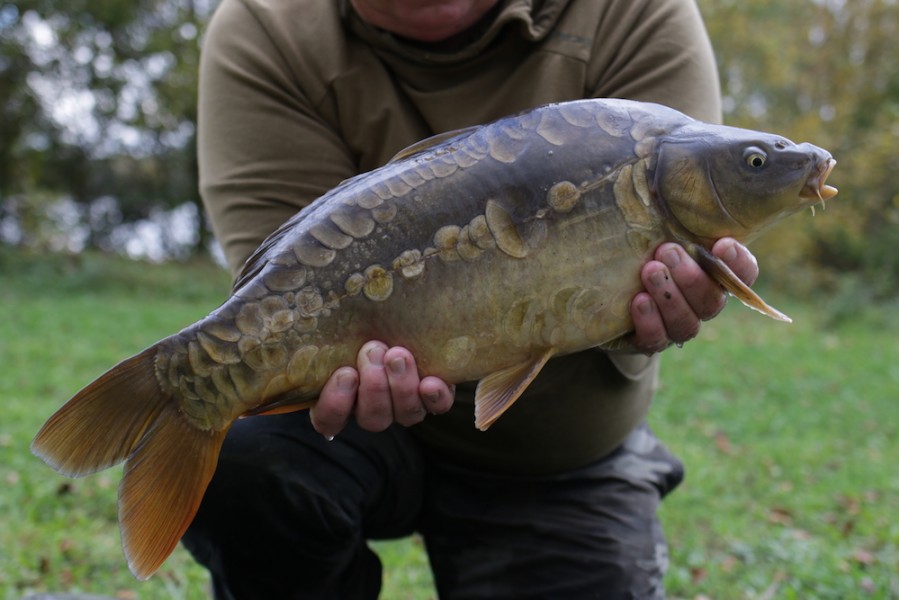 Fish 45 - 8lb - October 2017