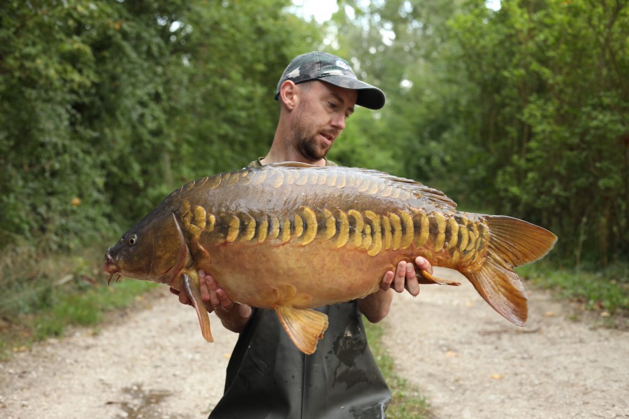 Weeman. - Treeline - 23lb 1oz - 26/08/2023