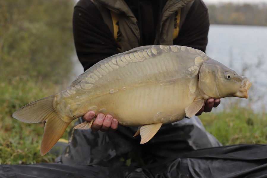 Fish 60 - 8lb 8oz - October 2017