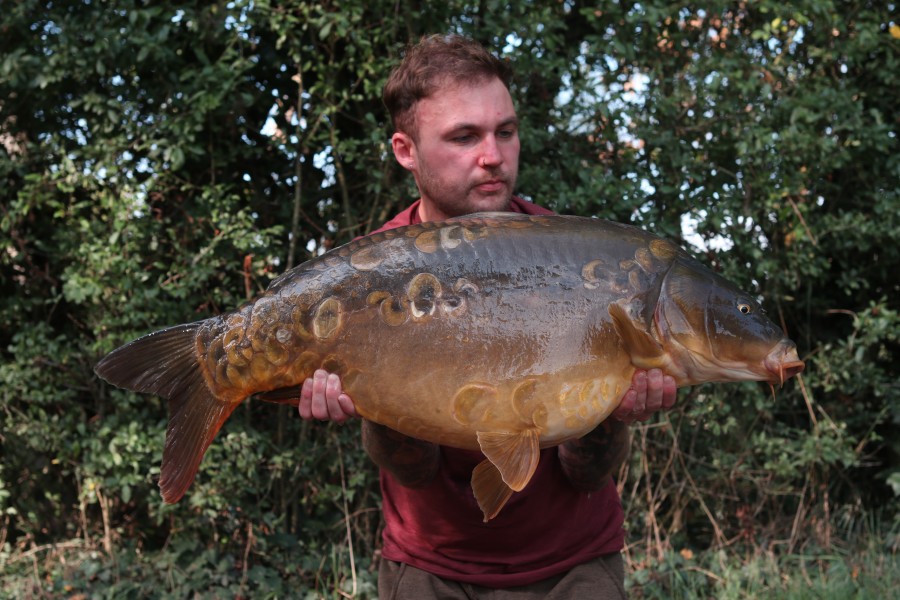 Ben Mitchell - 33lb - Tree Line - 12/08/2023