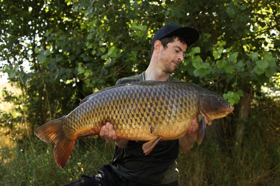 Tom Griffiths - 38lb - Big Girls - 06/07/2024