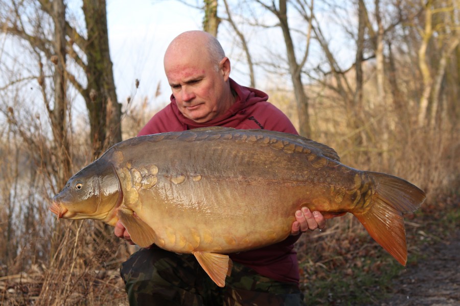 Steve French - 36lb 8oz - The Alamo - 15/01/2022