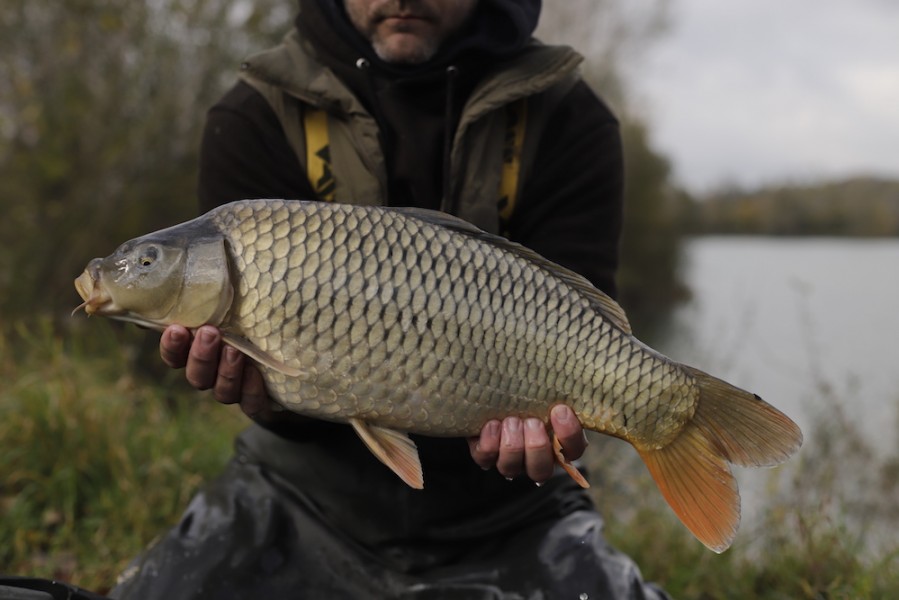Fish 114 - 8lb - October 2017