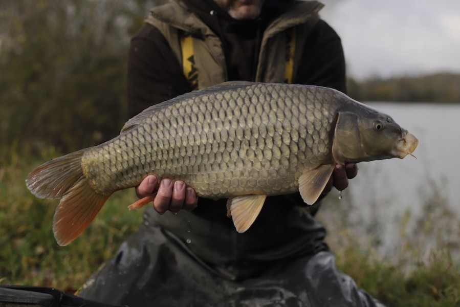 Fish 114 - 8lb - October 2017