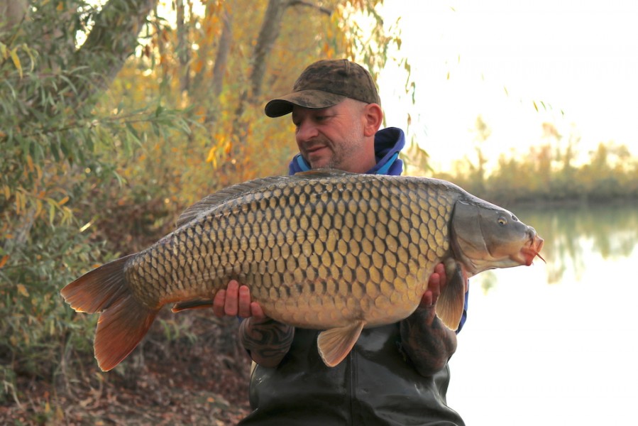 Rowan Hill 28lb The Alamo 15.08.20