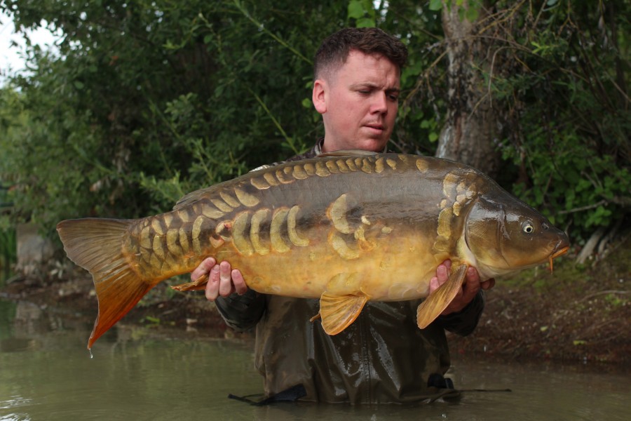 Ben Morgan 31lb 6oz - Pole Position - 05/08/2023