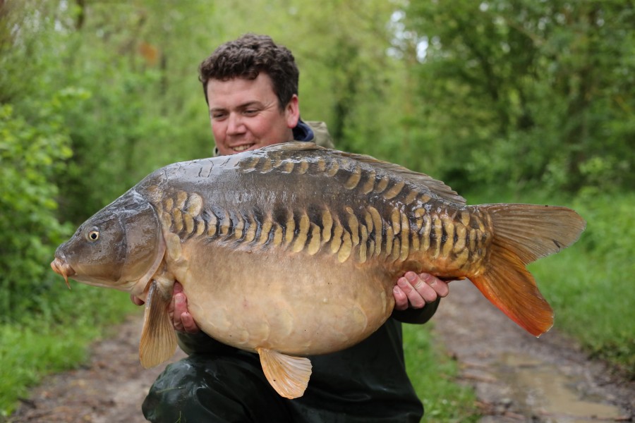 Ben Morgan - Alamo - 41lb 13oz - 27/04/2024