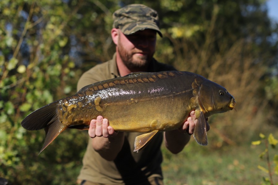 12lb, 27.9.18
