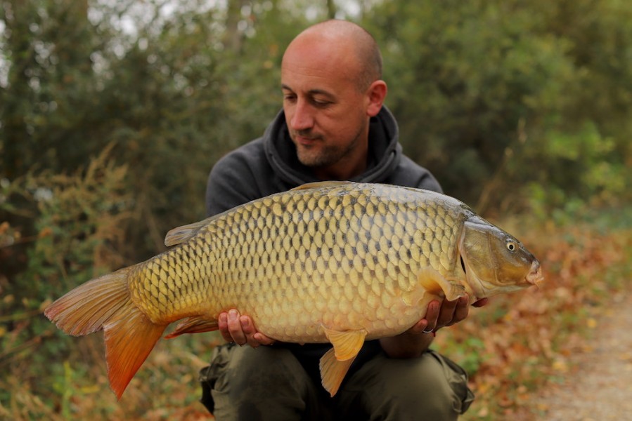 Gareth Radley, 19lb 8oz, The Alamo, 21.9.19