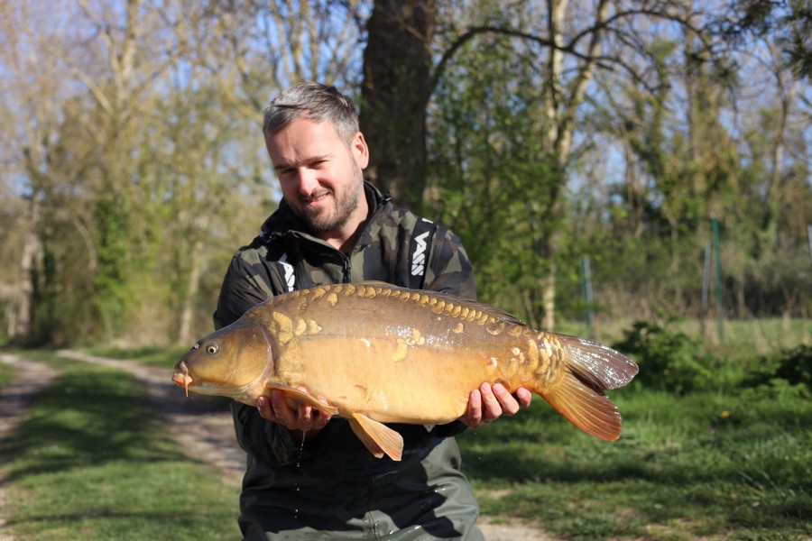Elliot - 24lb - Alamo - 29/03/2025