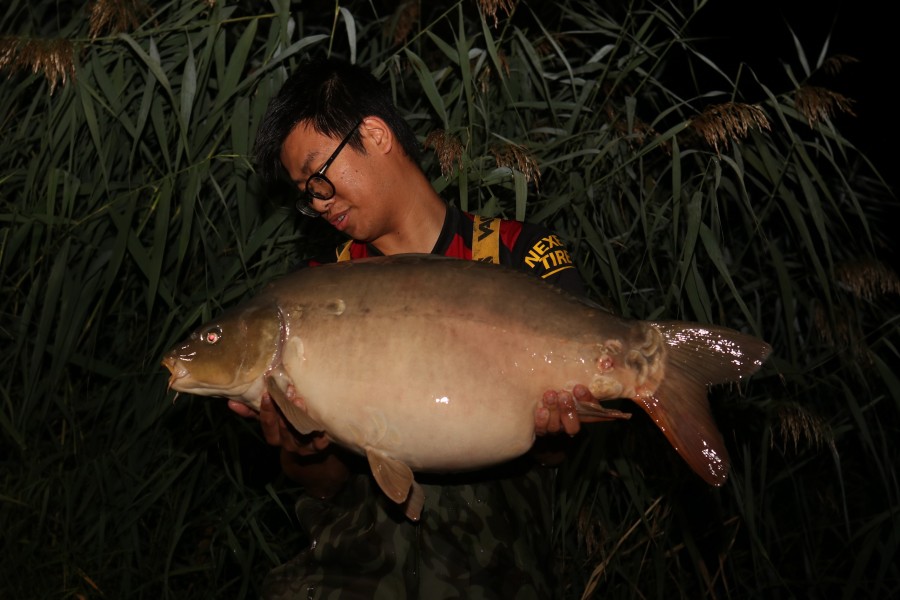 jeff Wong - Stink - 30lb - 15/10/2022