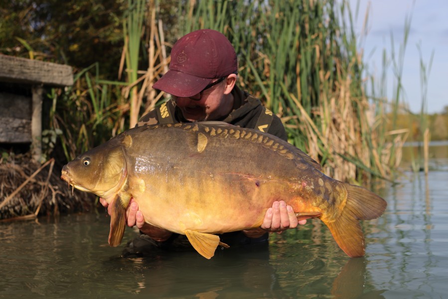 DF - Pole - 29lb 8oz - 14/10/2023