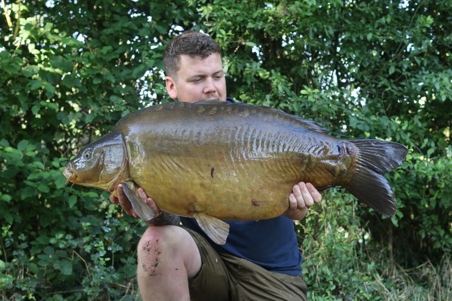 Ben Morgan - Treeline - 37lb 12oz - 16/06/2023