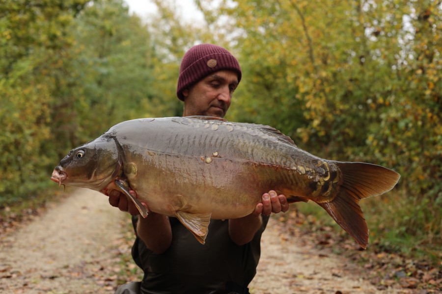 chris Irving - Baxter's - 27lb 1oz - 14/10/2023
