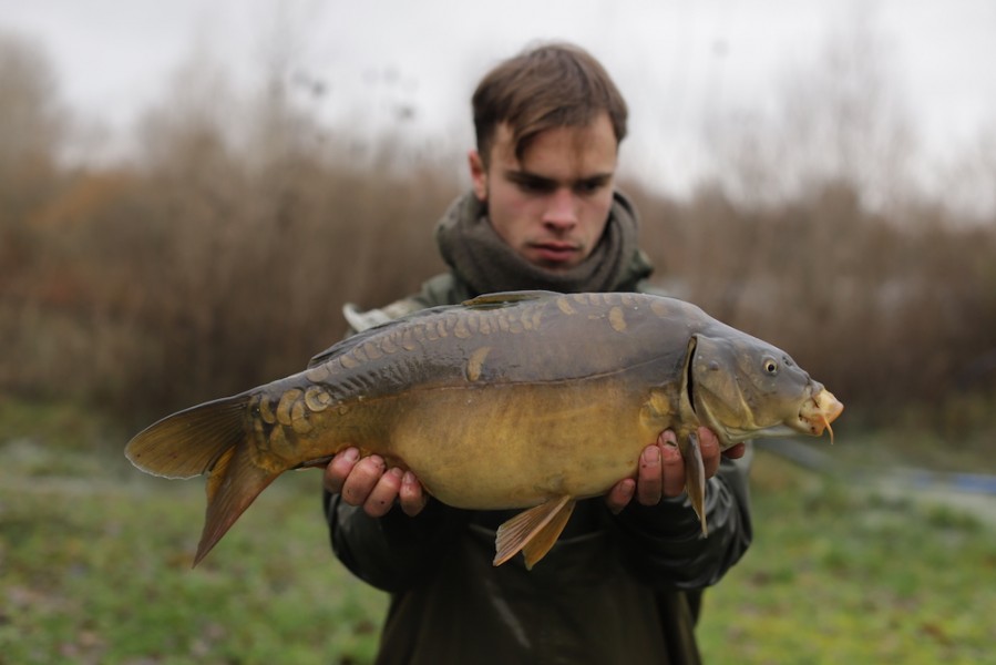 2021 - Fish 030 - 10lb  - C4