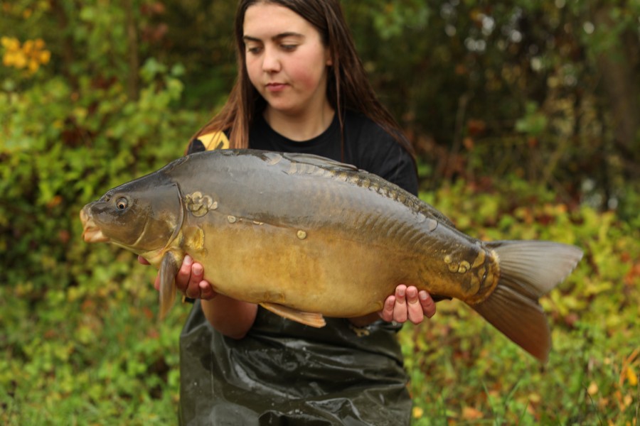 17lb 6oz