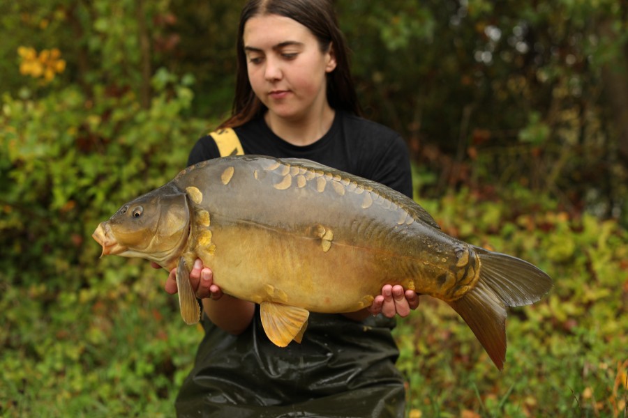 15lb 8oz