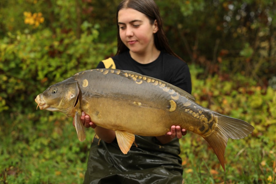 16lb 8oz