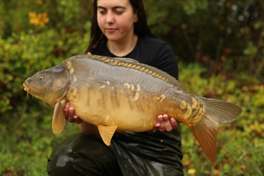 16lb