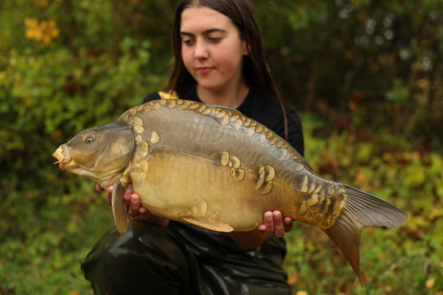 14lb 8oz