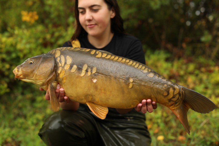 15lb