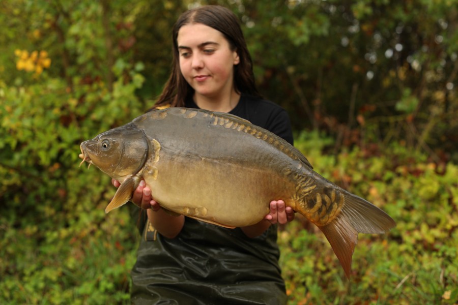 17lb 8oz