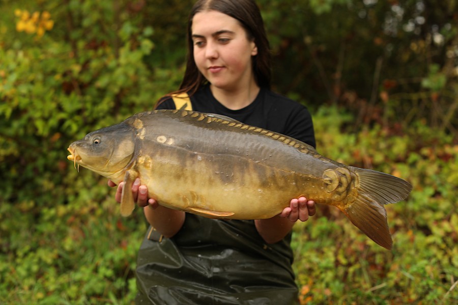 16lb
