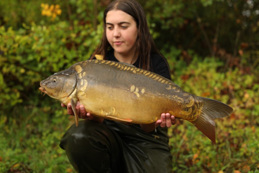 16lb