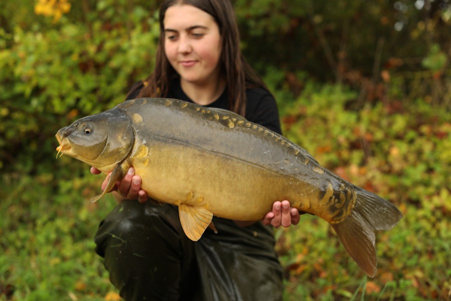 16lb 4oz