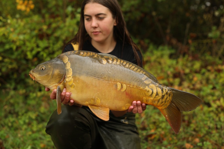 14lb