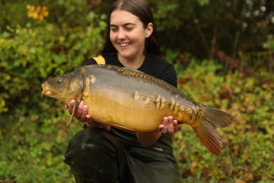 13lb 8oz