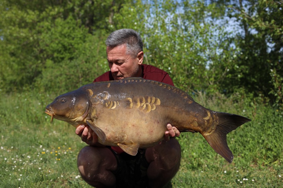 Steve Poll - Traz - 38lb 8oz - 25/04/2026