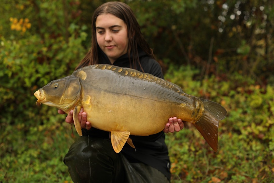 20lb 4oz