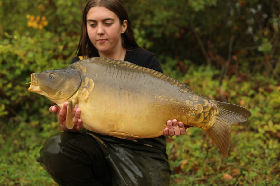 23lb