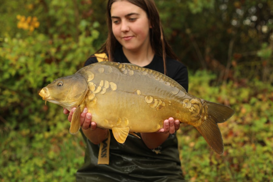 12lb