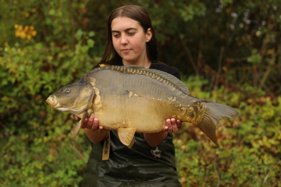 13lb