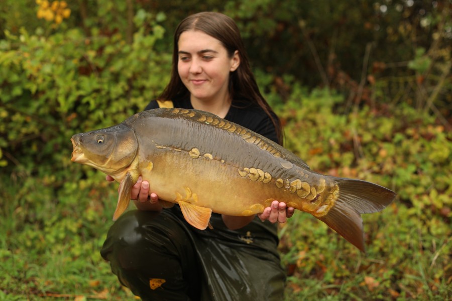 15lb