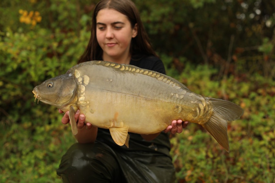 14lb 8oz