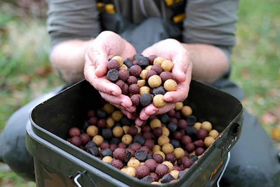 Boilie and pellet are a great summer combination.