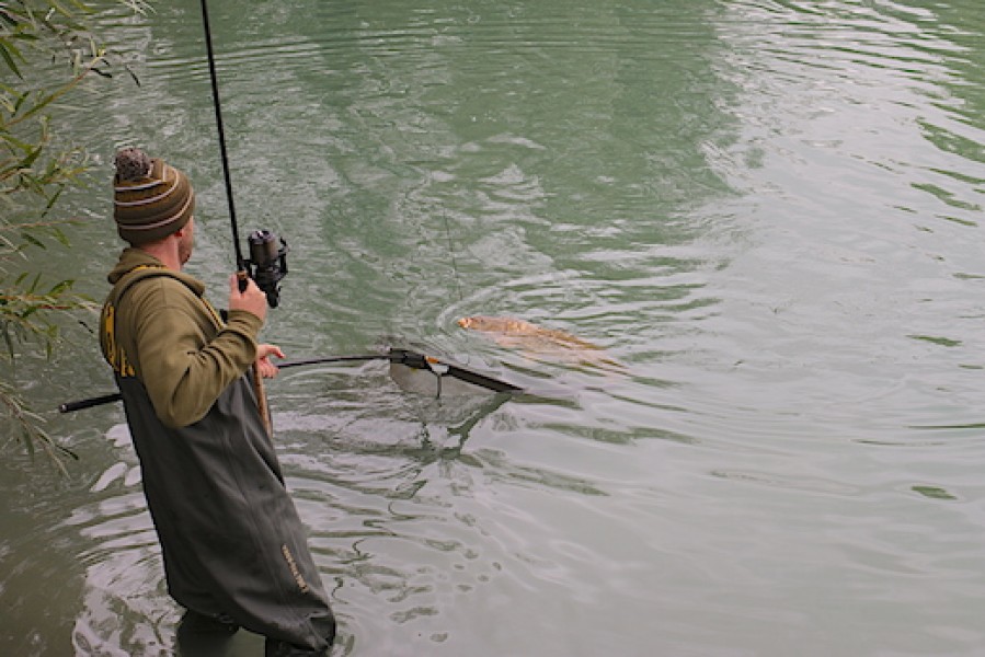 Netting another banger at Gigantica.