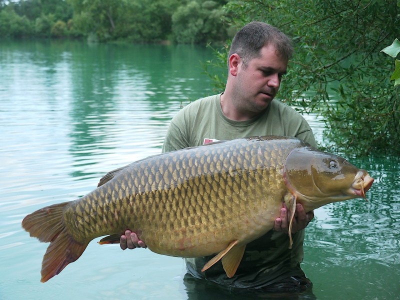Nick with "cut tail common" 53lb Big Southerly July 2013